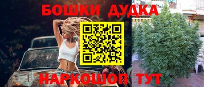 apvp Краснодар