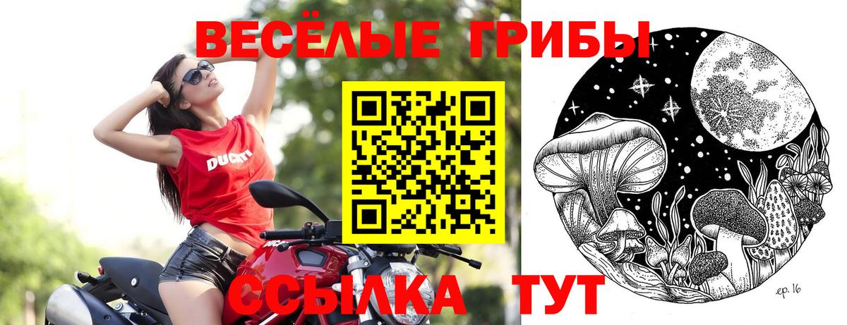 Киров  Псилоцибиновые грибы ЛСД  Вход с VPN 